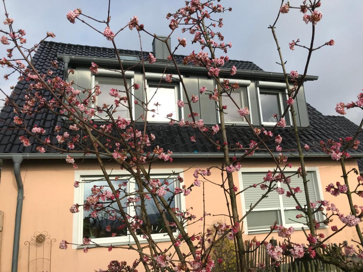 Kleine Auszeit Mit Aussicht Velbert Toenisheide Leilighet Eksteriør bilde