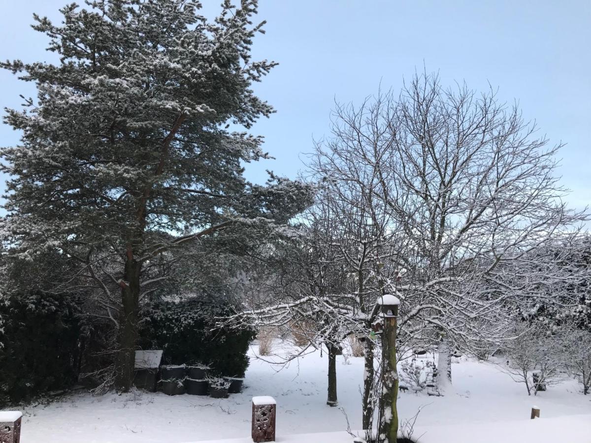 Kleine Auszeit Mit Aussicht Velbert Toenisheide Leilighet Eksteriør bilde