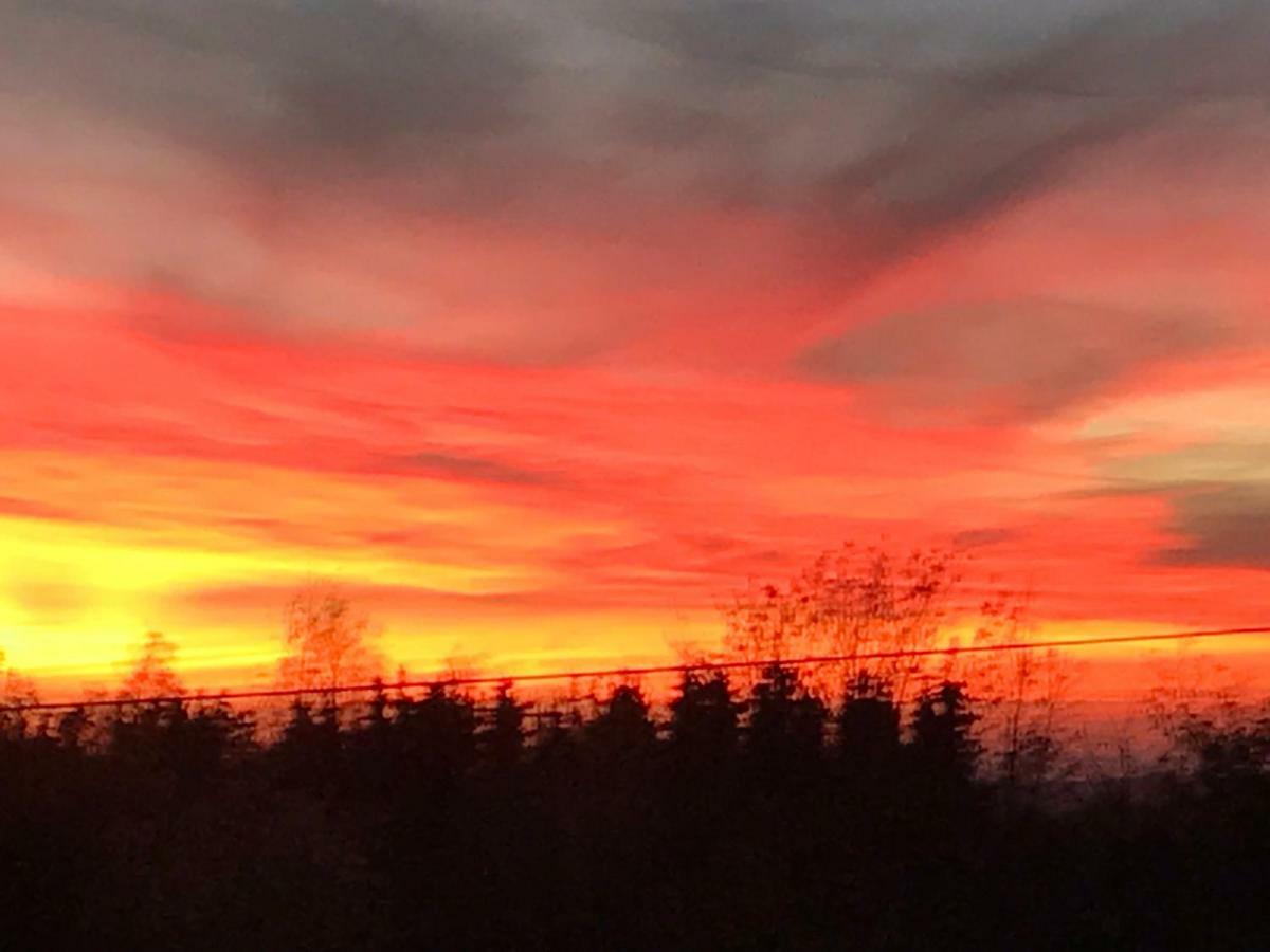 Kleine Auszeit Mit Aussicht Velbert Toenisheide Leilighet Eksteriør bilde
